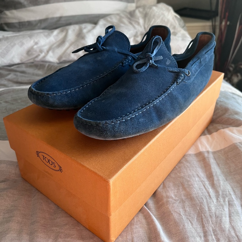 Suede Tods Gommino Driving Shoes